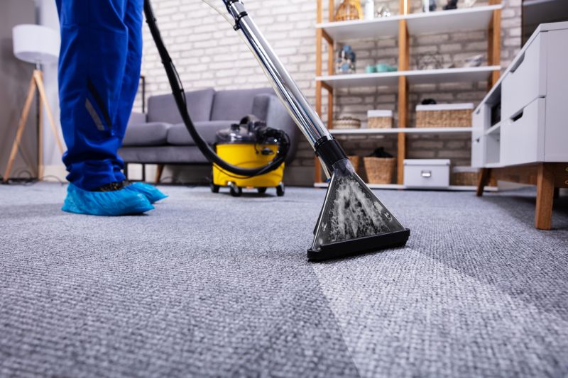 Basement Cleaning Service in Renton, WA