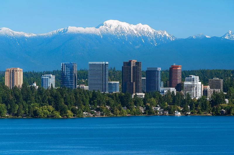 Weekly Commercial Cleaning in Renton, WA